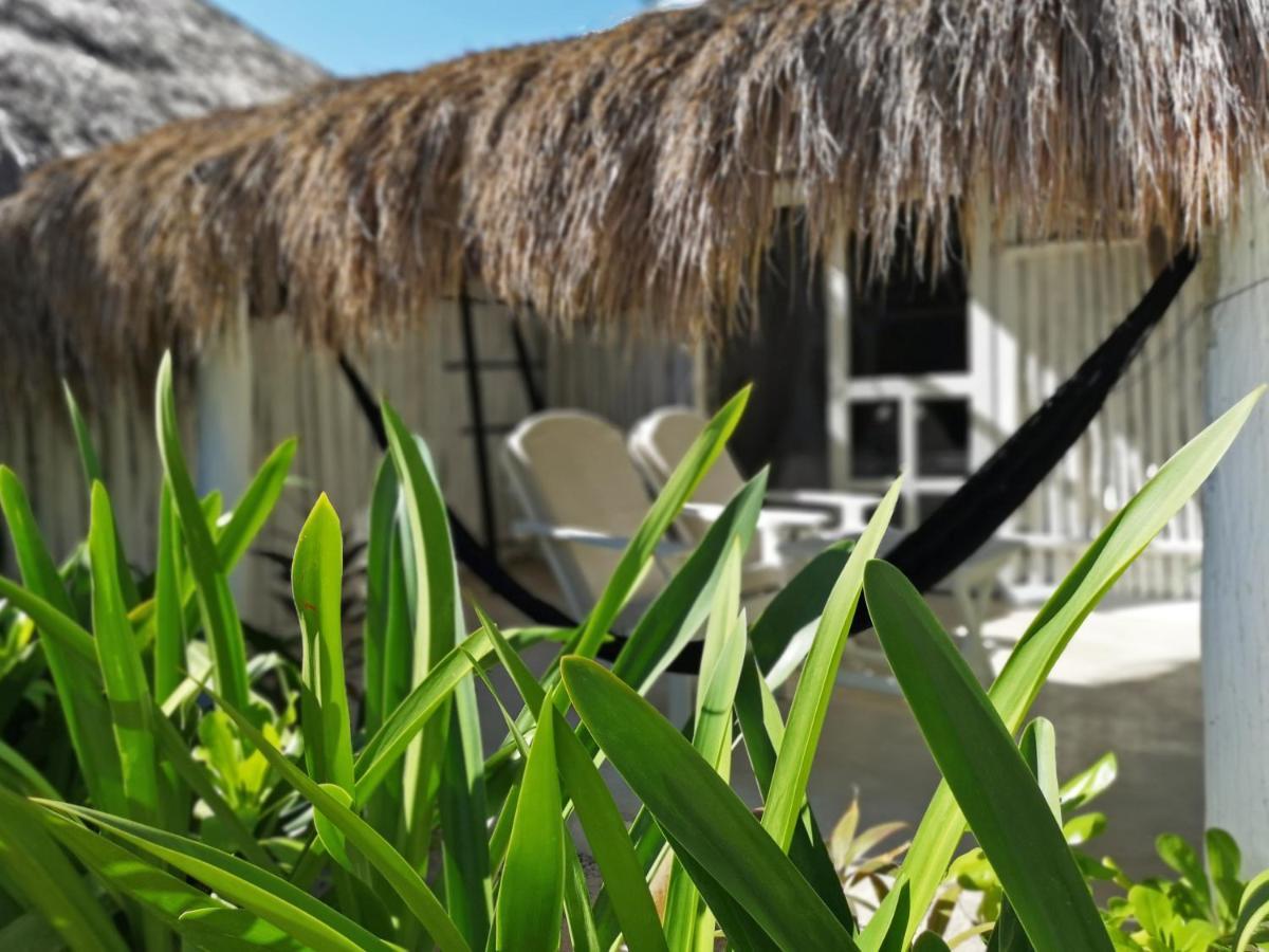 Coco Tulum Beach Club Hotel المظهر الخارجي الصورة